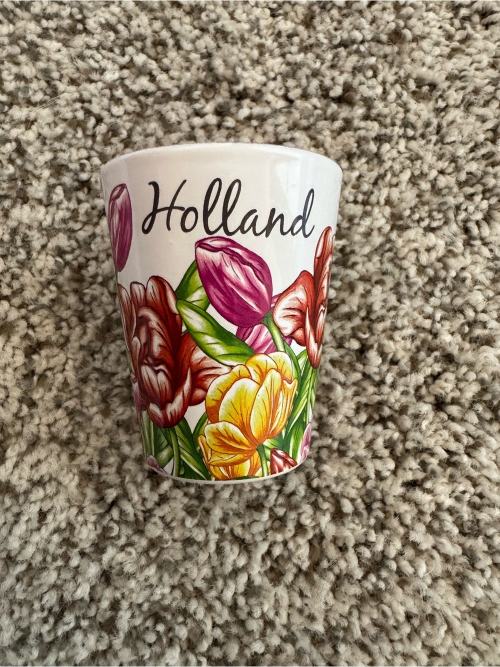 Holland Tulips Shot Glass